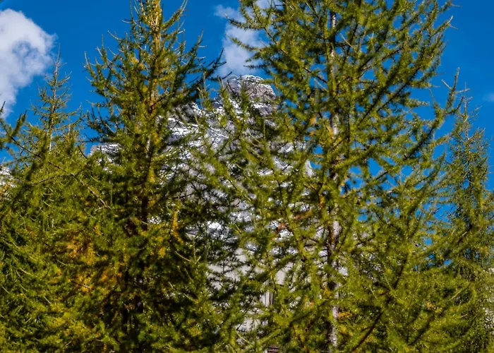 Апартаменти Hellochalet Le Bois Du Cervin - Matterhorn View, Ski-in Ski-out